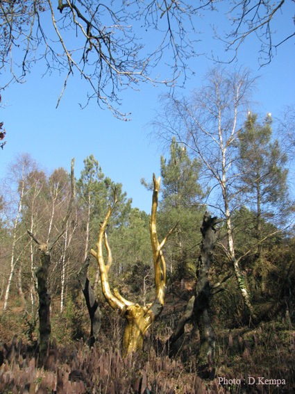 L'arbred'or dans le Val sans retour à Tréhorenteuc